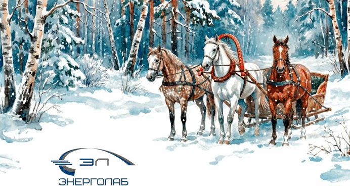 Энерголаб-нг-2025.gif