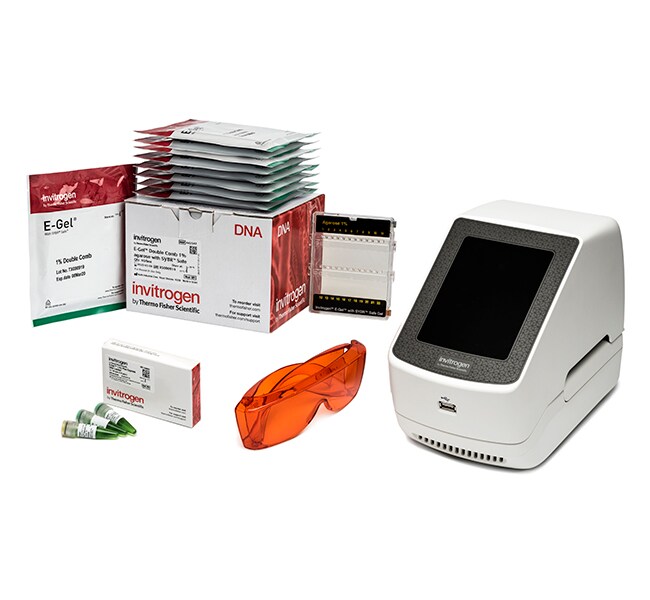 Системы капиллярного электрофореза E-Gel Power Snap Plus 